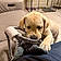 Pixel