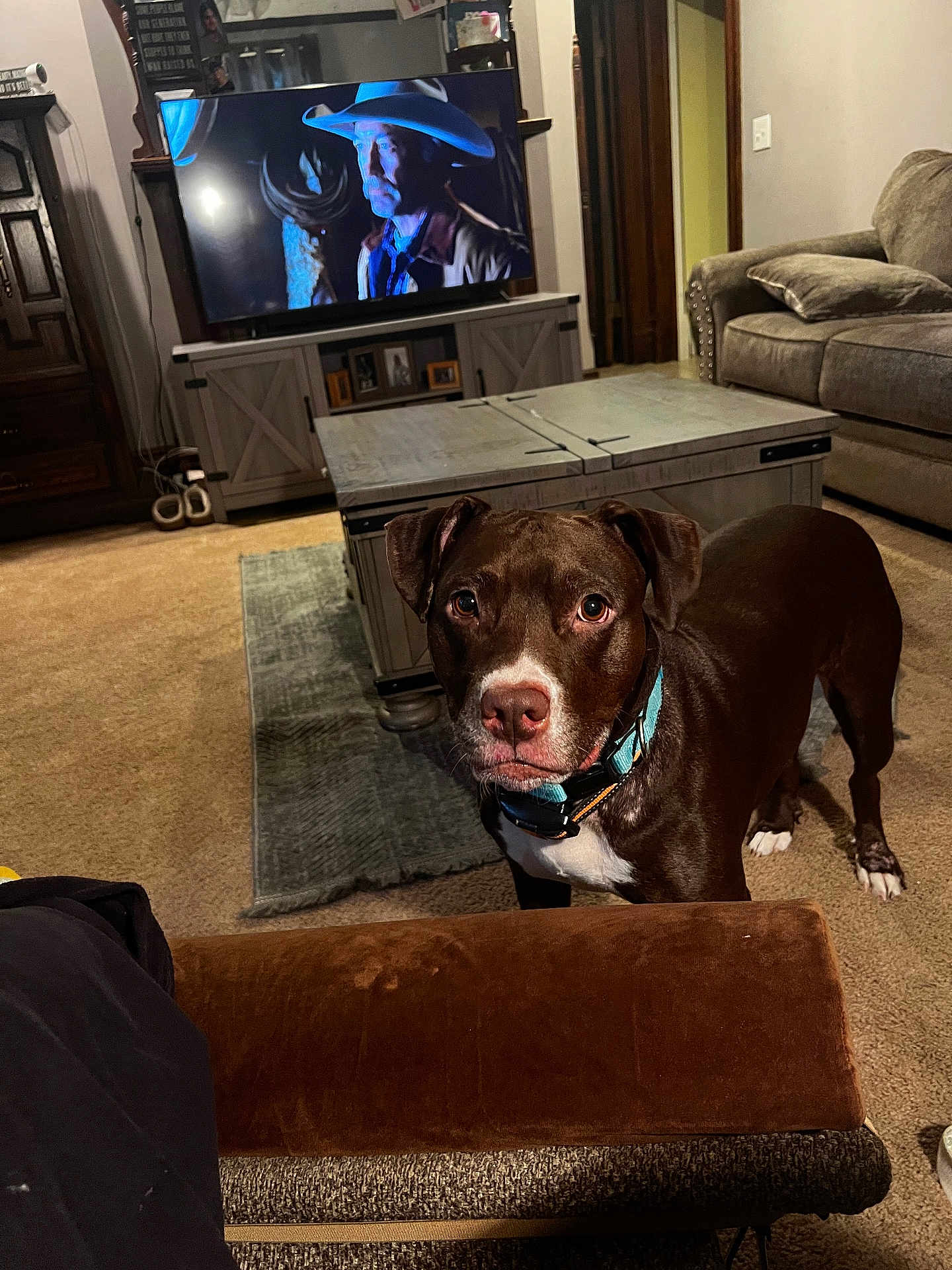 Echo