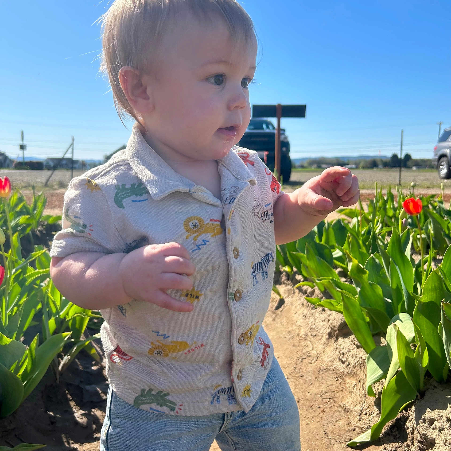Kycin joined the competition — help win amazing prizes! baby, blue_sky, casual_clothing, child, curious, daylight, exploring, flowers, garden, greenery, jeans, nature, outdoor, person, plants, portrait, shirt, sunny, toddler, tulips