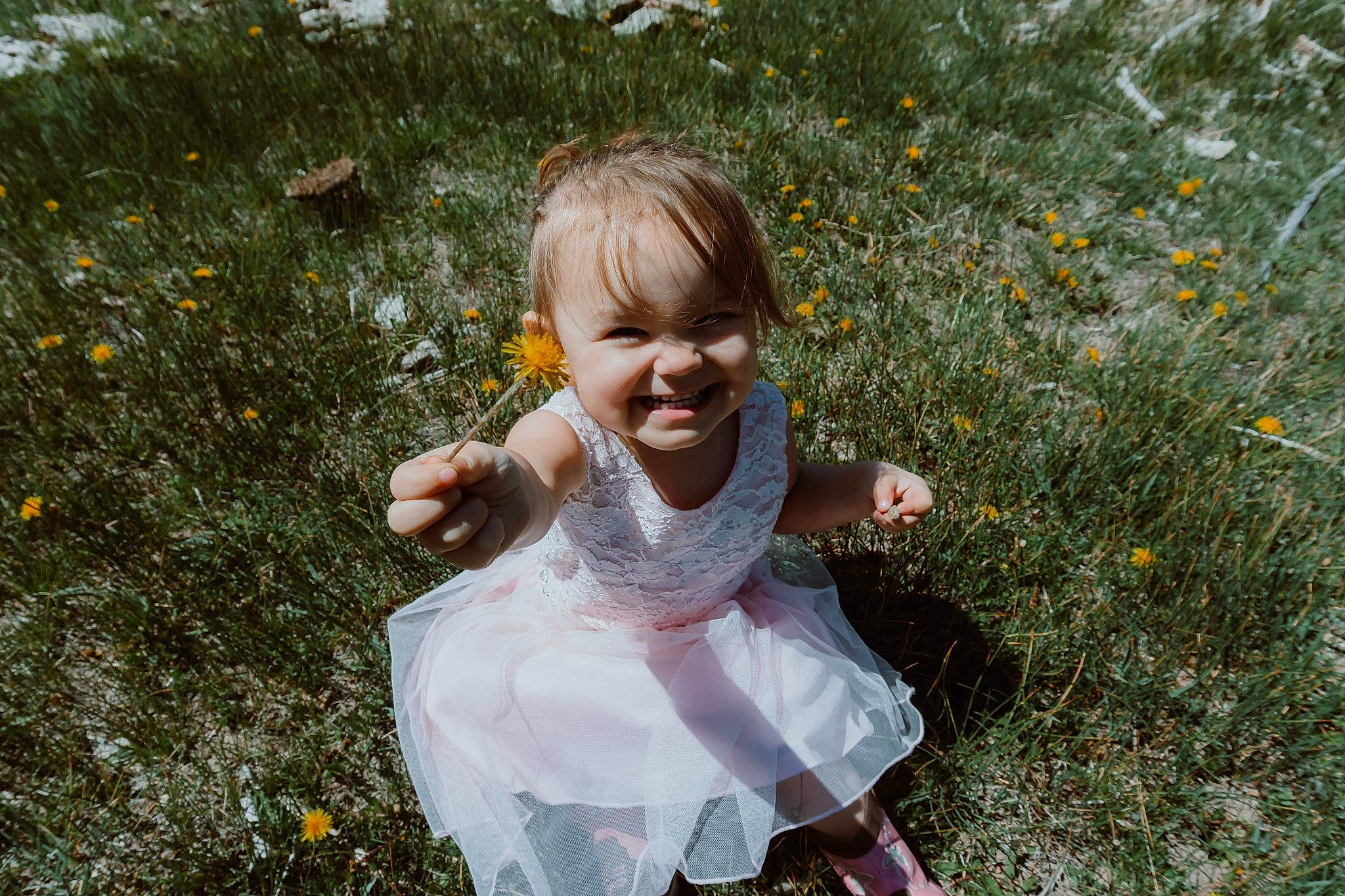 Xayah is registered to the contest to win money with this photo: baby_toddler_clothing, blond, botany, child, dress, finger, flower, fun, grass, grass_family, happy, joy, meadow, people_in_nature, person, petal, plant, play, smile, summer