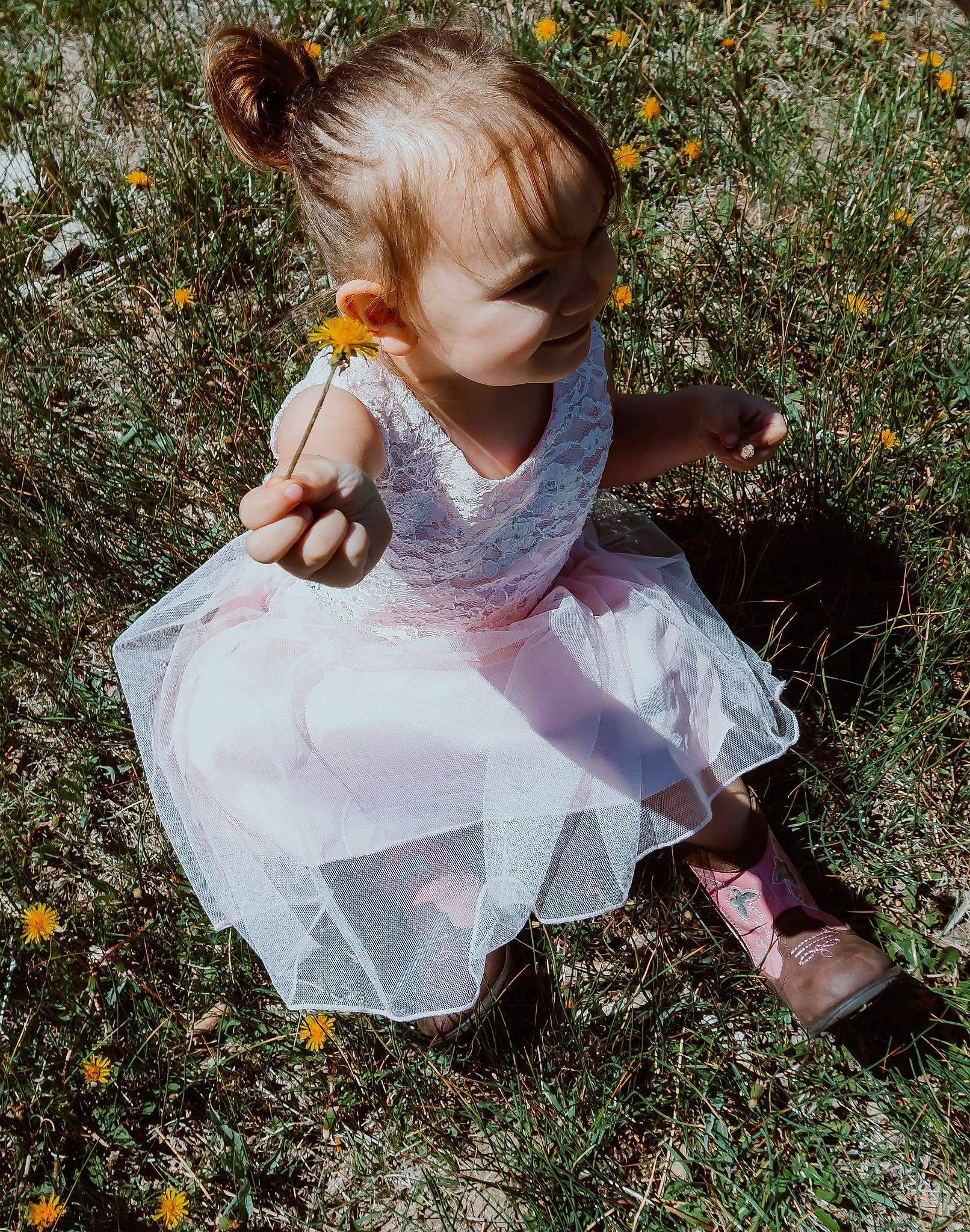 Xayah joined the competition — help win amazing prizes! baby_toddler_clothing, botany, child, dress, flower, fun, grass, grass_family, happy, head, lawn, leaf, leg, meadow, people_in_nature, person, plant, summer, sunlight, toddler