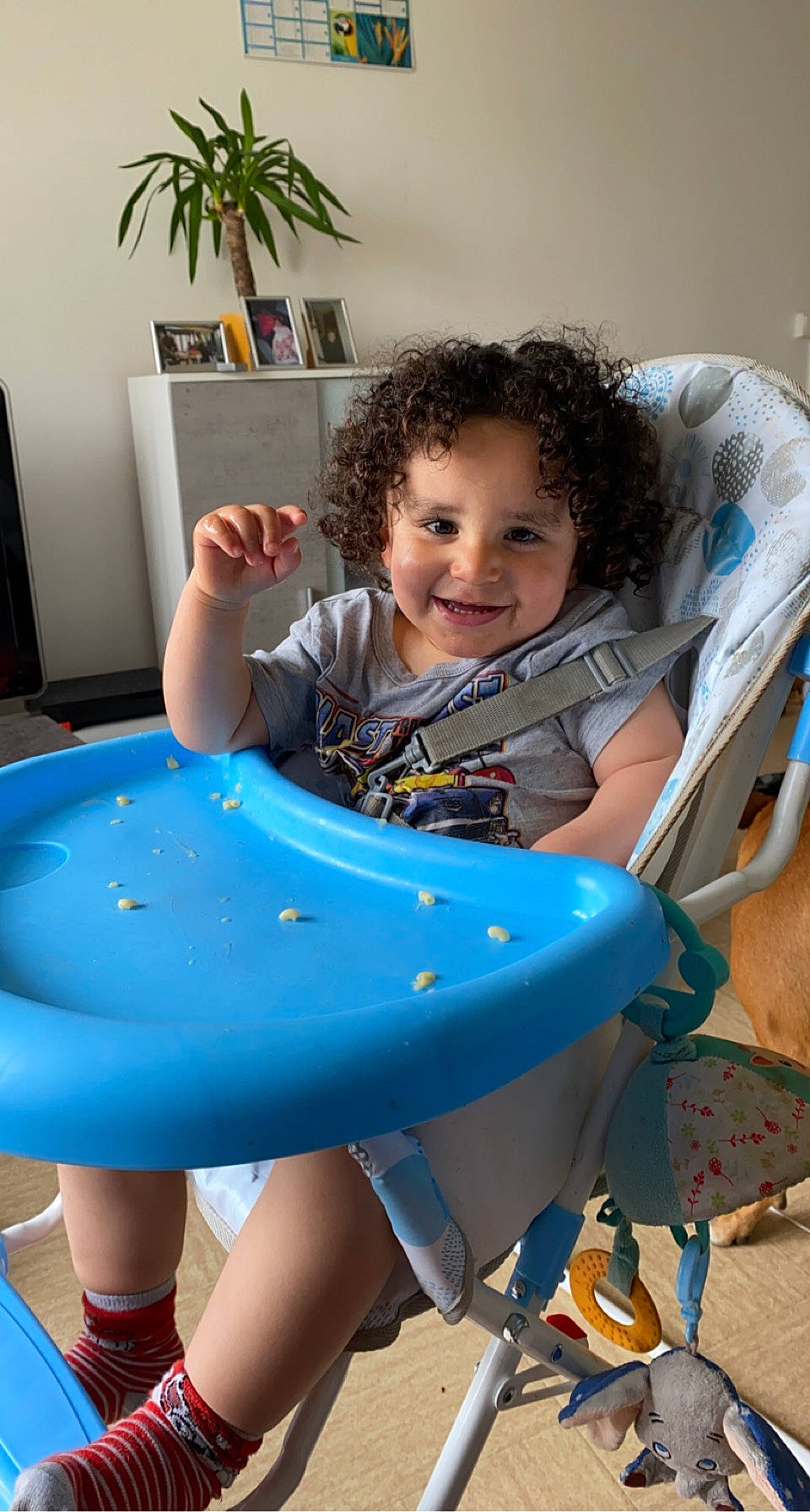 Mylow participe au concours pour gagner de l'argent avec cette photo : aqua, azure, baby, baby_playing_with_toys, blue, child, flowerpot, fun, hand, happy, houseplant, joy, leg, leisure, person, photograph, plant, recreation, smile, thigh