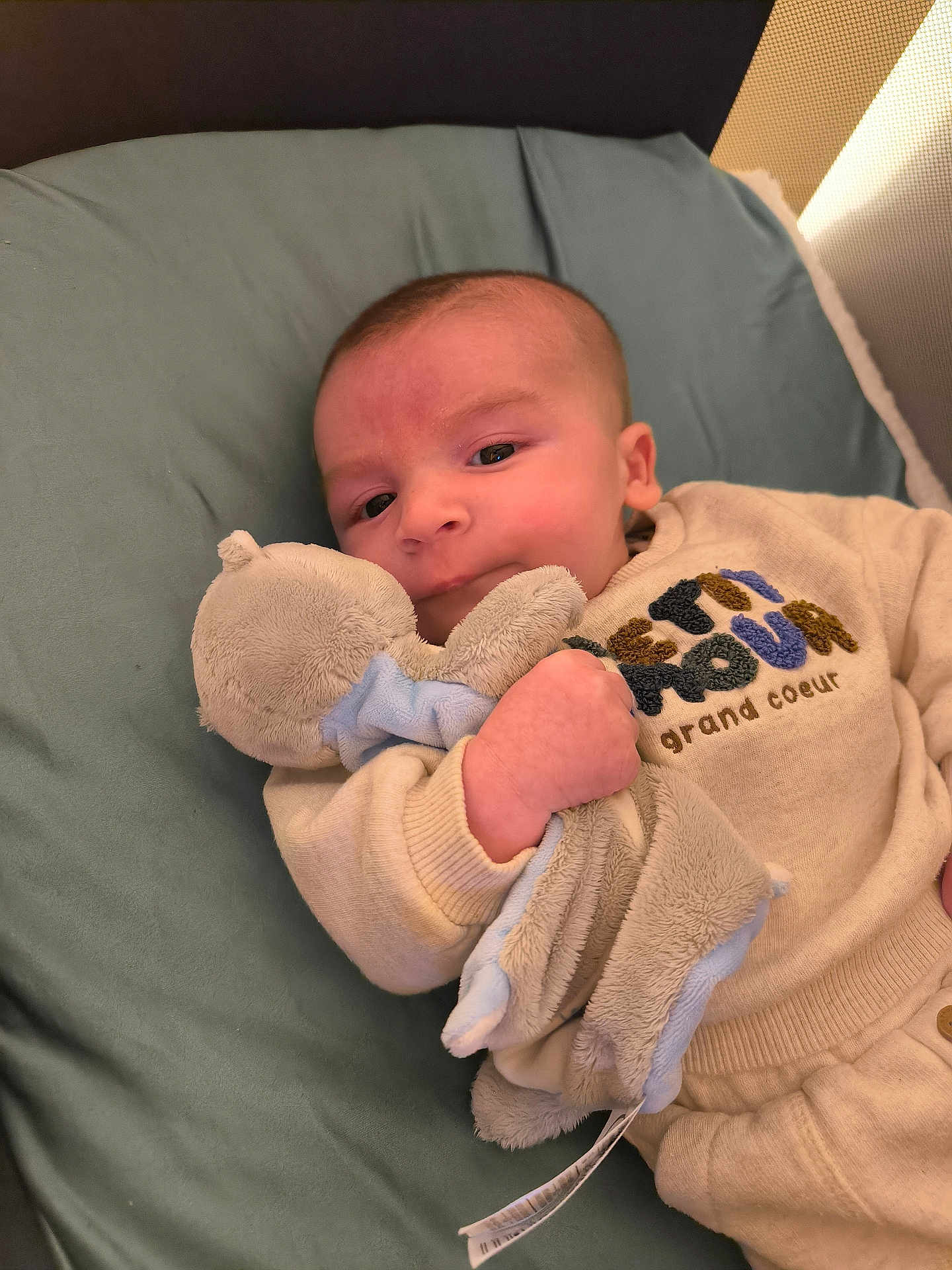 Noé participe au concours pour gagner de l'argent avec cette photo : baby, plush_toy, cushion, infant, clothing, face, hand, bedroom, soft_toy, cute, child, lying_down, indoors, smiling, portrait, comfort, warm, sleeve, fabric, young