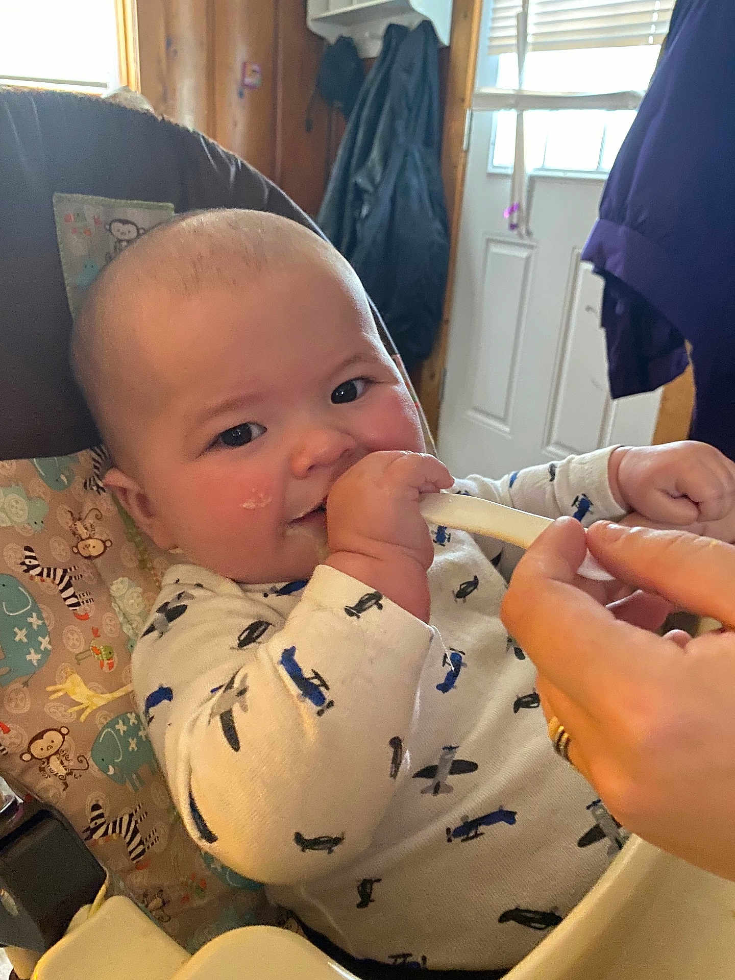 Lincoln joined the competition — help win amazing prizes! baby, high_chair, feeding, spoon, hand, infant, indoor, wood_wall, clothing, patterned, face, cheeks, curious, seat, home, window, curtain, coat, adult_hand, baby_clothes