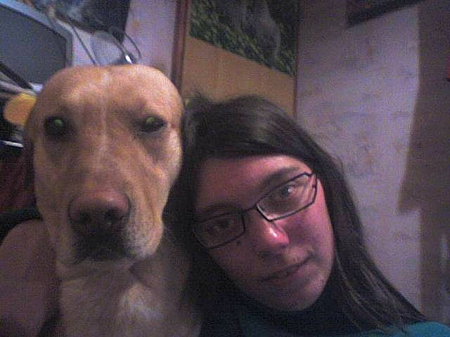 Casimir participe au concours pour gagner de l'argent avec cette photo : canidae, carnivore, dog, dog_breed, ear, face, fawn, head, jaw, labrador_retriever, mammal, nose, photography, rhodesian_ridgeback, selfie, snout, sporting_group