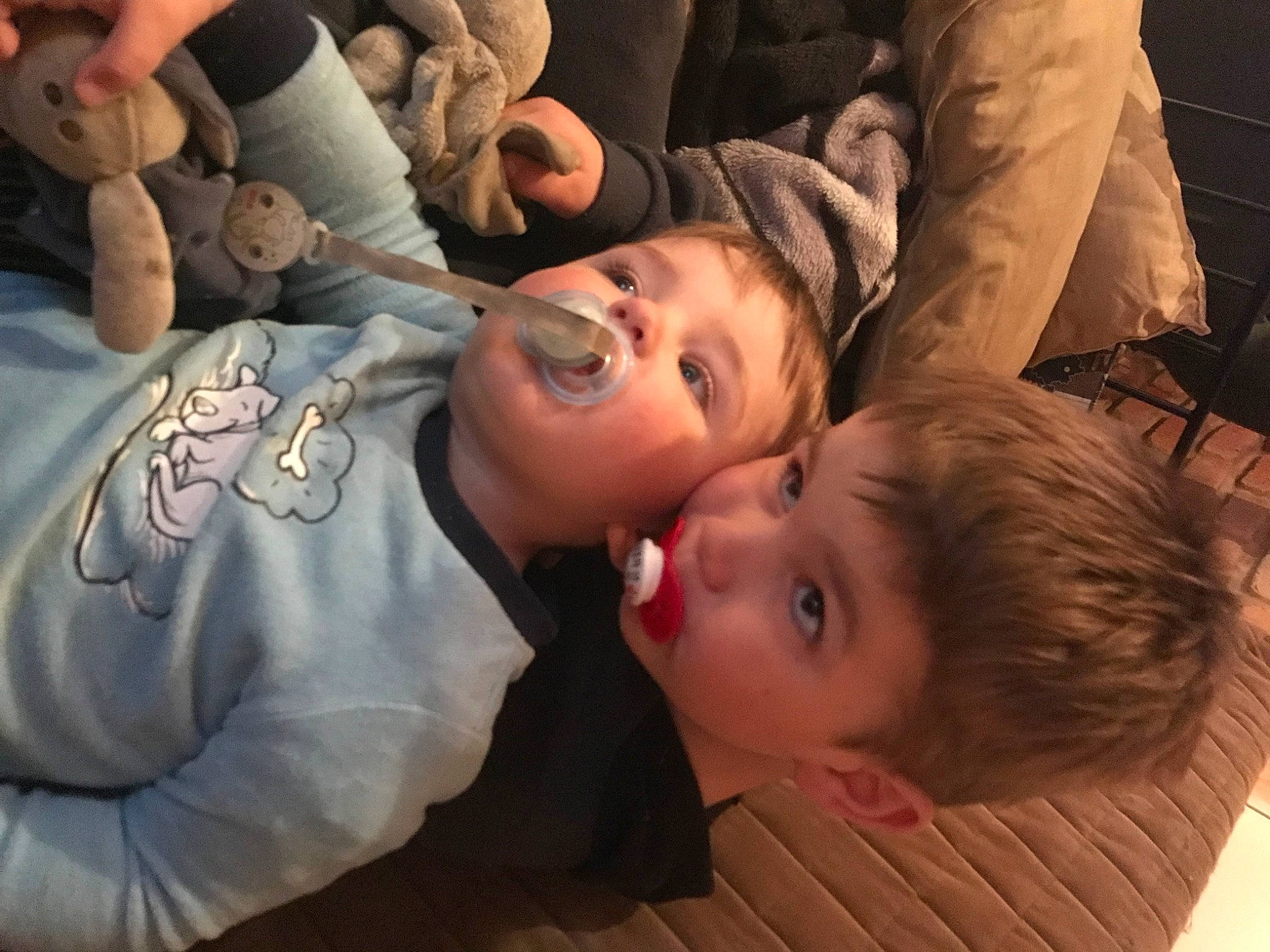 Luc participe au concours pour gagner de l'argent avec cette photo : baby, cheek, child, comfort, event, facial_expression, finger, flash_photography, fun, gesture, grass, happy, interaction, mammal, mouth, nose, person, skin, toddler, vertebrate