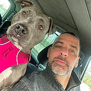 Shannel participe au concours pour gagner de l'argent avec cette photo : man, dog, car, selfie, pet, seatbelt, harness, gray_sweater, beard, window, interior, portrait, brown_eyes, seat, closeup, casual, indoors, canine, companion, friendship