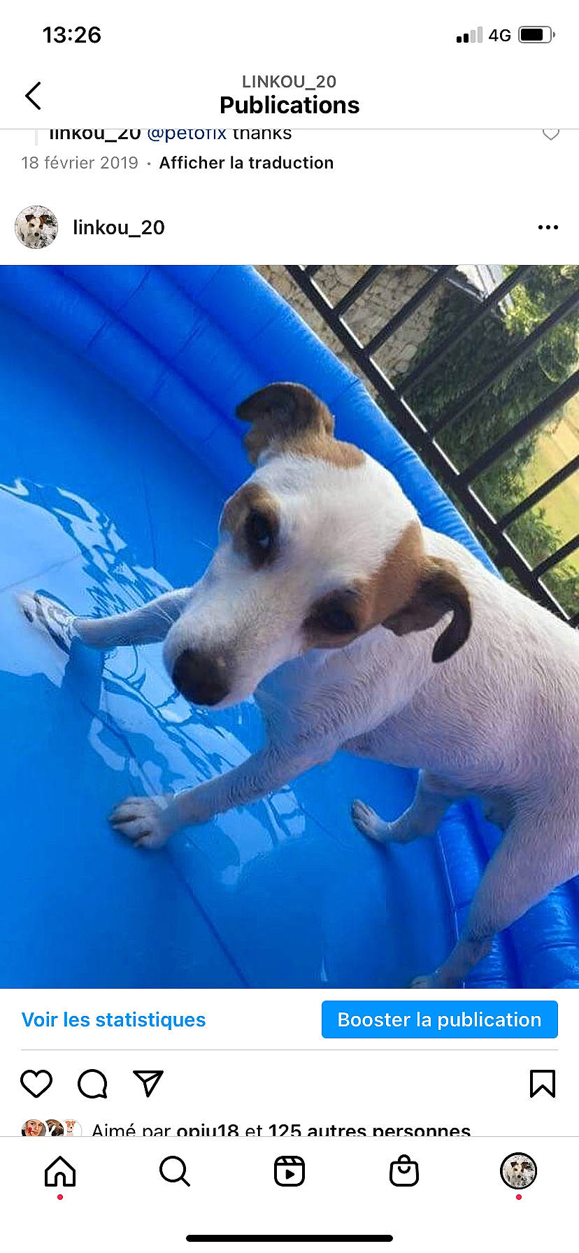 Link a rejoint le concours — aidez-le/la à gagner de superbes lots ! canidae, carnivore, companion_dog, dog, dog_breed, electric_blue, happy, leisure, metal, paw, pet_supply, photo_caption, recreation, snout, sporting_group, square, stock_photography, terrestrial_animal, water, working_animal