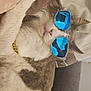 accessory, animal, blanket, blue_lenses, cat, closeup, couch, cozy, feline, gold_chain, gray_fur, home, indoor, person_reflection, pet, portrait, reflection, relaxing, sunglasses, white_fur