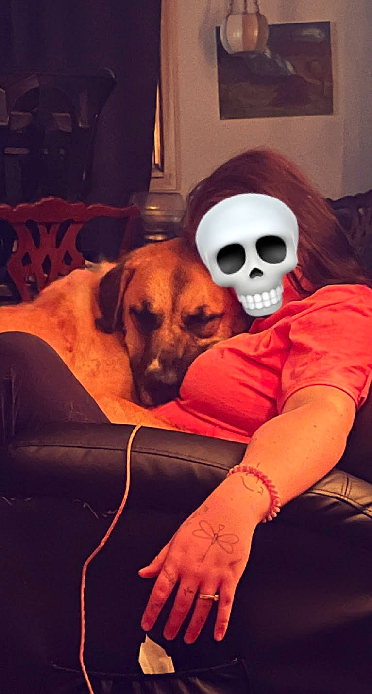 Max is registered to the contest to win money with this photo: bone, carnivore, comfort, companion_dog, dog, dog_breed, eyewear, fictional_character, fur, goggles, hat, mammal, metal, personal_protective_equipment, room, sitting, skull, snout, sunglasses, t_shirt