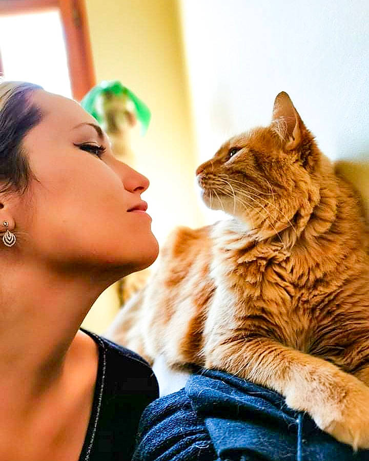 Hayden participe au concours pour gagner de l'argent avec cette photo : carnivore, cat, comfort, ear, earrings, eyelash, fawn, felidae, flash_photography, gesture, hair, happy, long_hair, neck, organ, shoulder, skin, small_to_medium_sized_cats, sunlight, whiskers