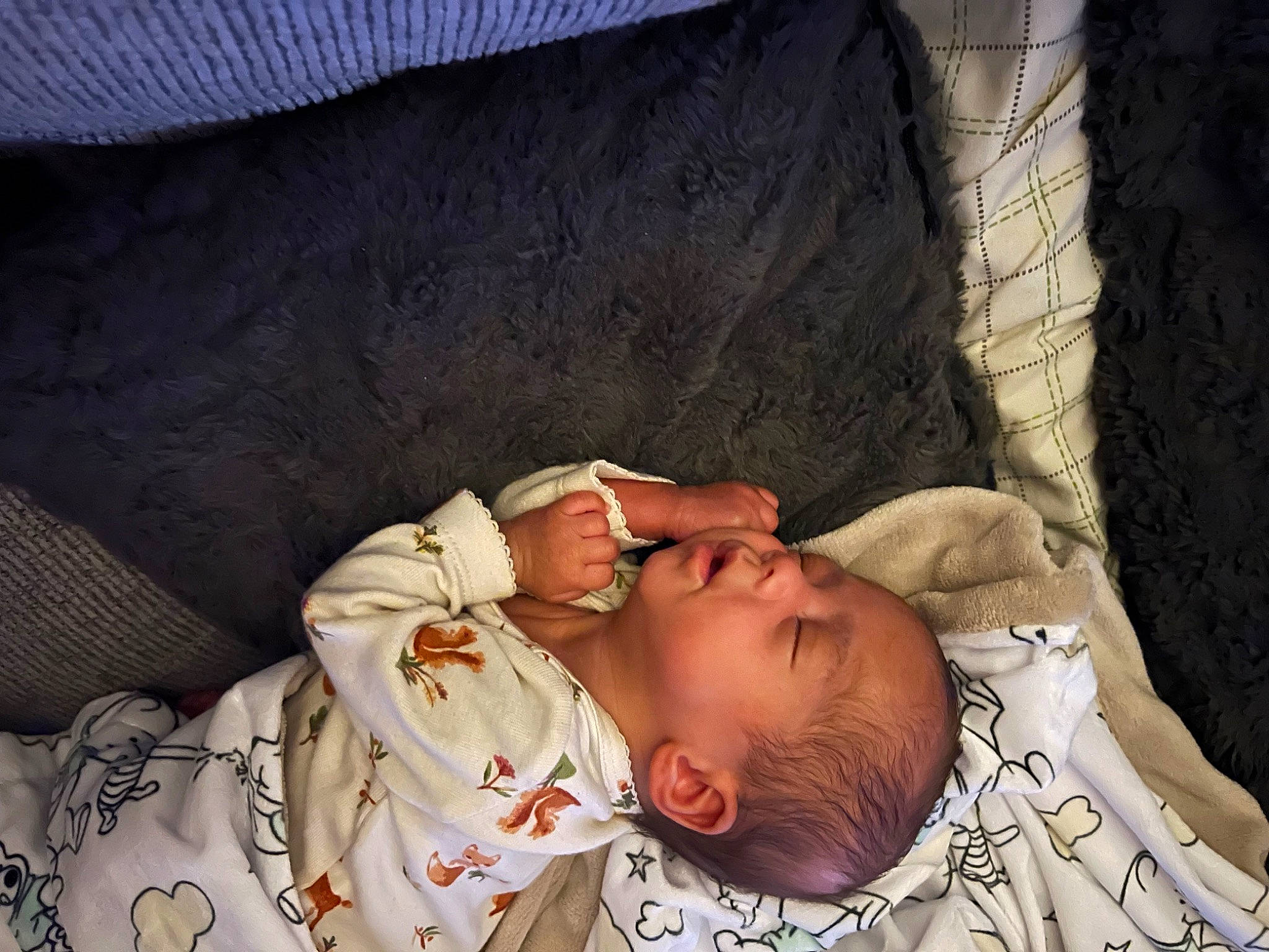 Maizley is registered to the contest to win money with this photo: baby, baby_products, baby_sleeping, baby_toddler_clothing, bedding, bedtime, cheek, child, comfort, eyelash, linens, nap, nose, person, portrait_photography, room, skin, sleep, sleeve, toddler