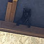Ice participe au concours pour gagner de l'argent avec cette photo : cat, dark, wood, beam, peeking, shadow, indoor, animal, pet, feline, quiet, hidden, curious, low_light, silhouette, ears, paws, background, mysterious, blurred
