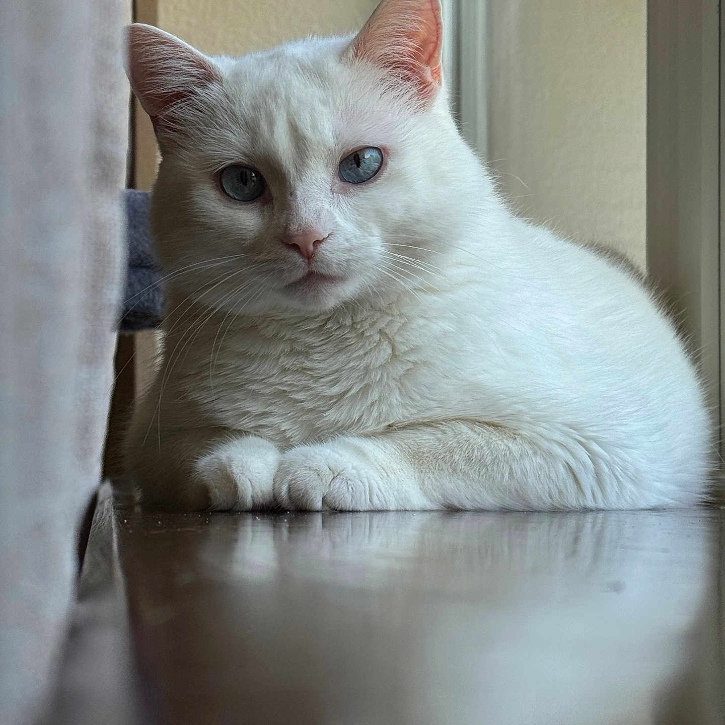 Luna