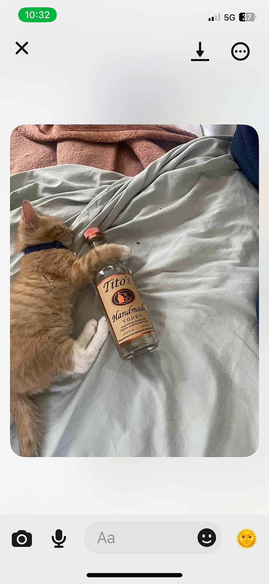 Titos is registered to the contest to win money with this photo: kitten, cat, orange_cat, sleeping, bottle, vodka, titos, bed, blanket, sheet, collar, fur, pet, indoor, cozy, resting, animal, cute, tabby, domestic_cat