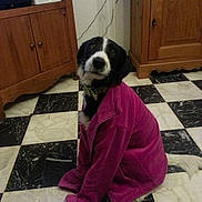 Irco a rejoint le concours — aidez-le/la à gagner de superbes lots !