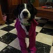 Irco participe au concours pour gagner de l'argent avec cette photo :