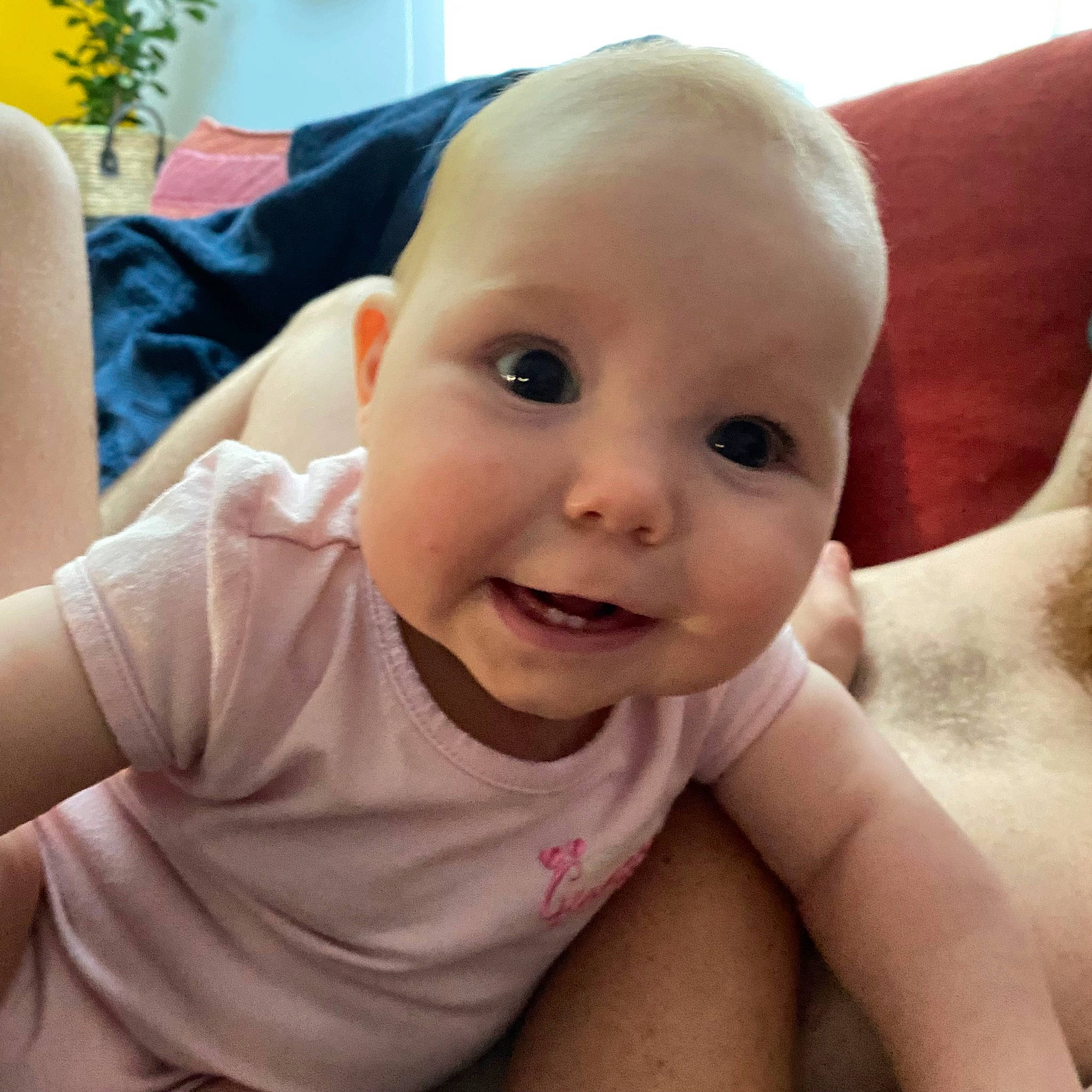 Lucile a rejoint le concours — aidez-le/la à gagner de superbes lots ! baby, baby_toddler_clothing, cheek, ear, eye, eyebrow, eyelash, gesture, hand, head, iris, joy, lip, mouth, muscle, neck, nose, person, skin, sleeve