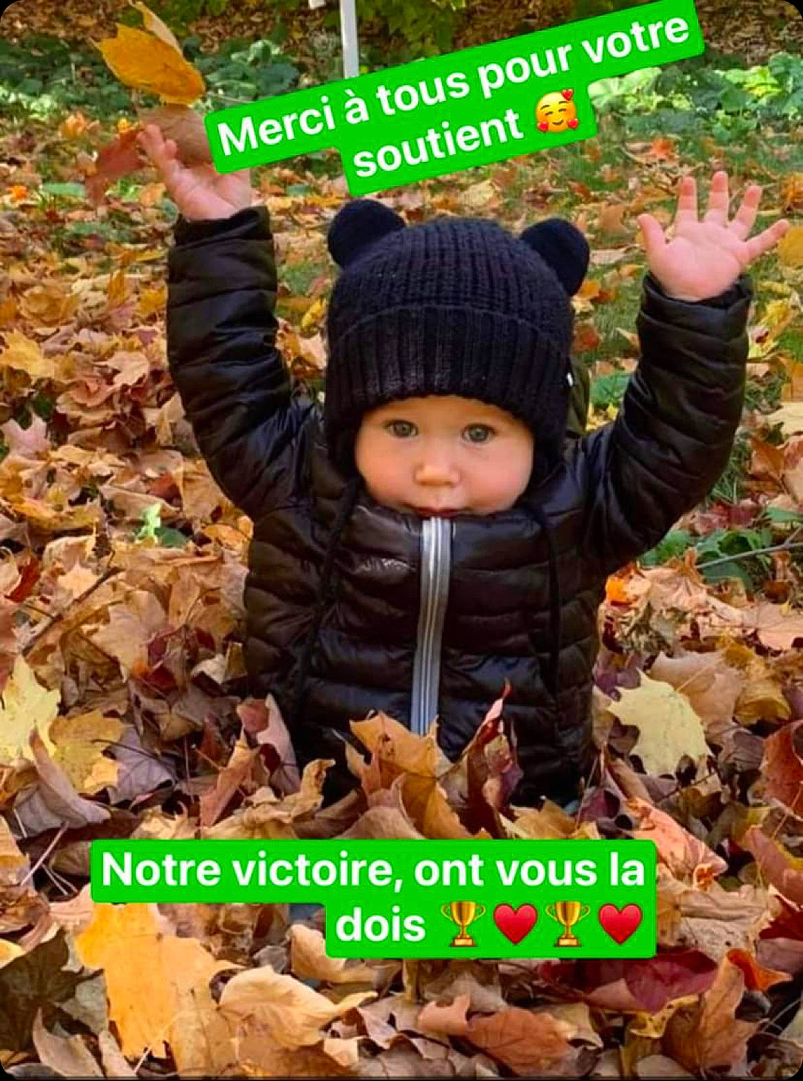 Logan participe au concours pour gagner de l'argent avec cette photo : adaptation, autumn, baby, cap, child, deciduous, grass, green, happy, headwear, hoodie, knit_cap, leaf, people, people_in_nature, person, plant, soil, toddler, tree
