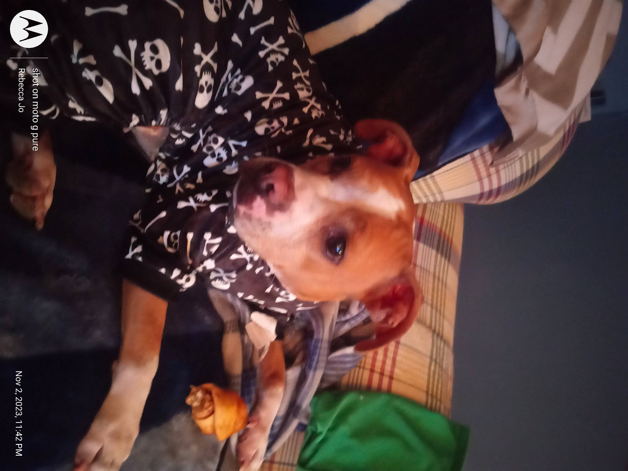 Girly joined the competition — help win amazing prizes! artist, beard, concert, dress_shirt, entertainment, event, flesh, fun, music, music_artist, musician, pattern, performance, performance_art, performing_arts, pop_music, public_event, singer, singing, tree