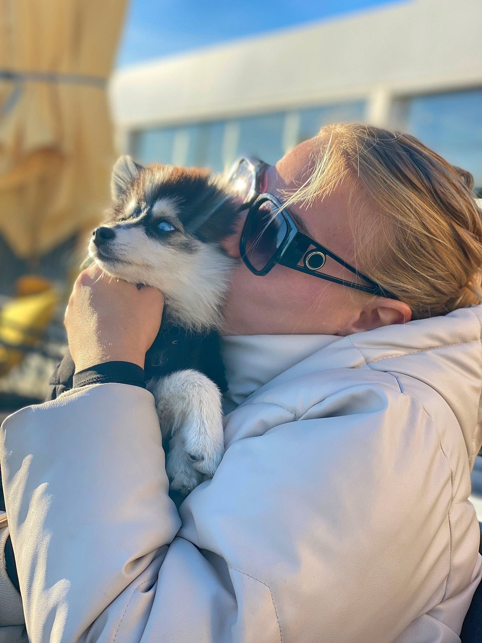 Rio a rejoint le concours — aidez-le/la à gagner de superbes lots ! canidae, carnivore, companion_dog, dog, electric_blue, event, eyewear, fawn, felidae, fur, glasses, glove, mammal, service, small_to_medium_sized_cats, sunglasses, vision_care, whiskers, wildlife, wildlife_biologist