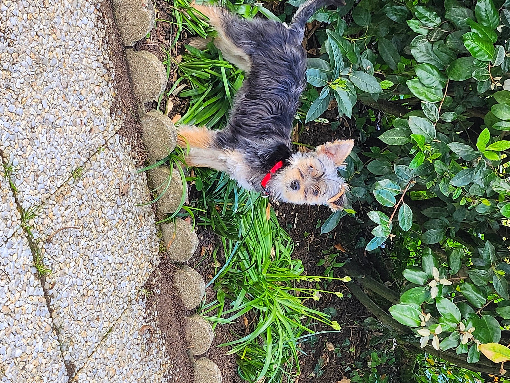 Trudy a rejoint le concours — aidez-le/la à gagner de superbes lots ! arthropod, beak, butterfly, foot, fur, grass, groundcover, insect, invertebrate, moths_and_butterflies, plant, pollinator, tail, terrestrial_plant, tree, trunk, vegetation, whiskers, wildlife, wing