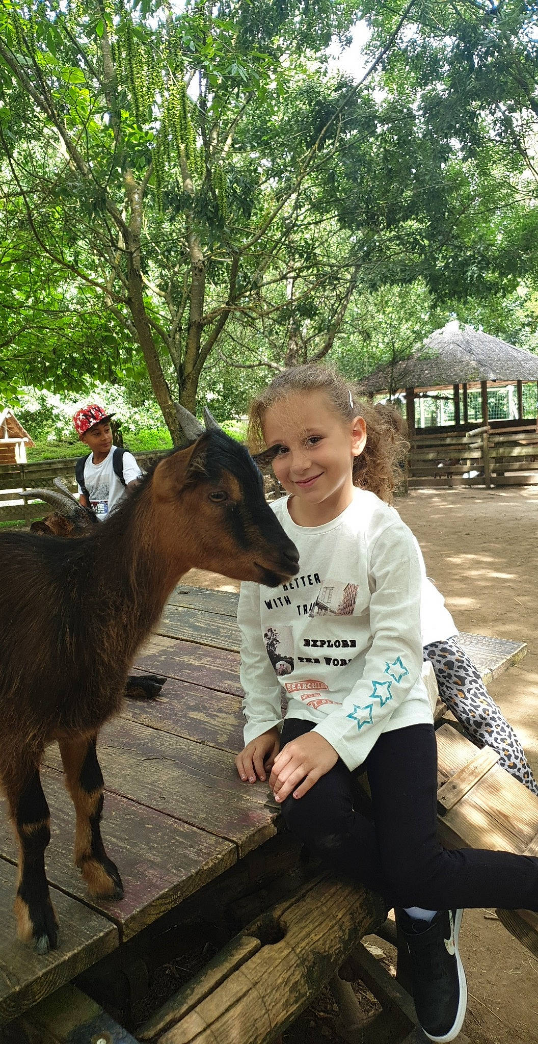 Linda participe au concours pour gagner de l'argent avec cette photo : child, cow_goat_family, fawn, goat, goat_antelope, goats, headwear, joy, livestock, mammal, person, plant, vertebrate, working_animal, zoo