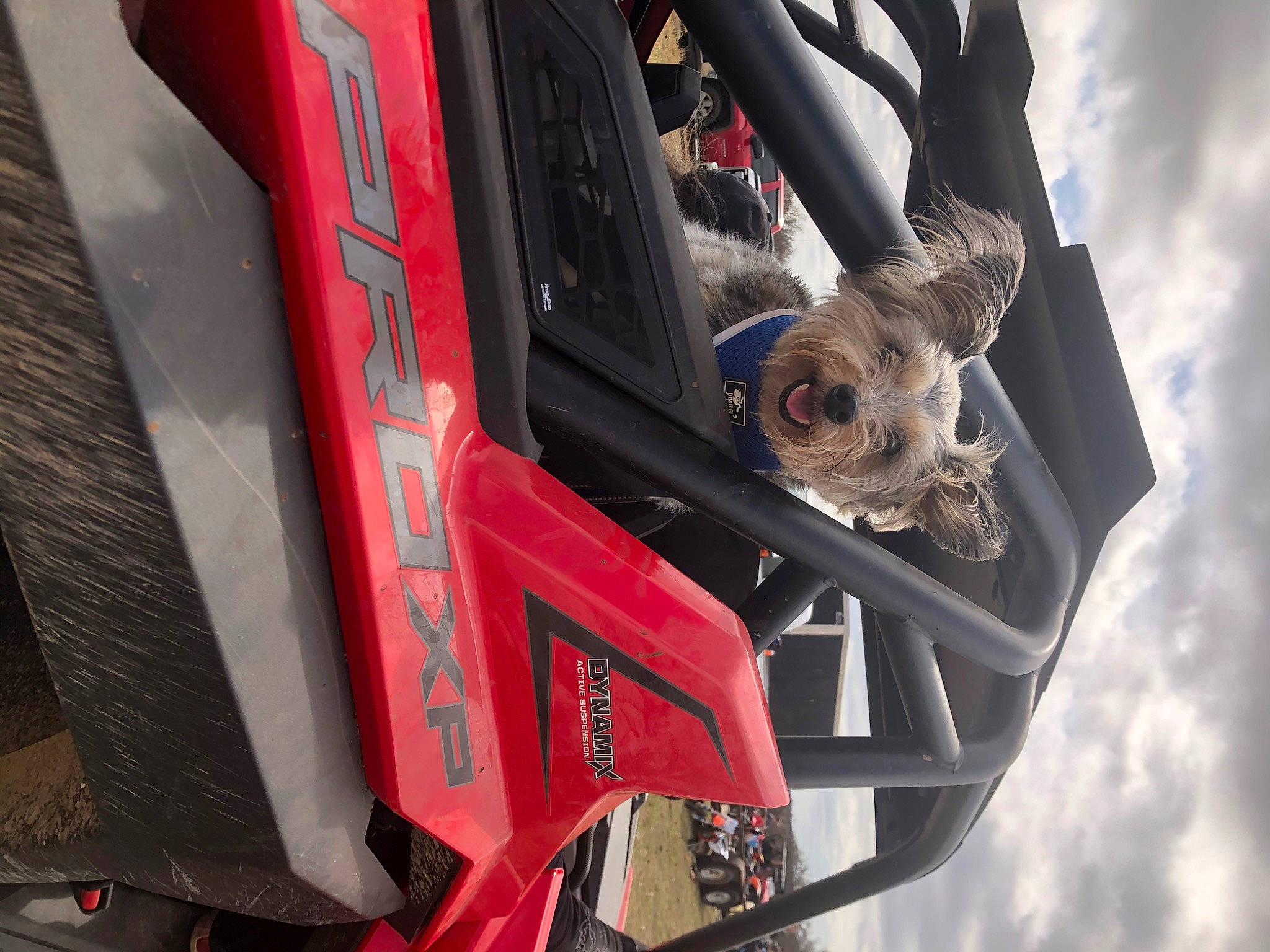 Jayjay is registered to the contest to win money with this photo: auto_part, automotive_design, automotive_exterior, automotive_lighting, automotive_tire, automotive_wheel_system, bumper, car, cloud, fender, land_vehicle, machine, motor_vehicle, rim, sky, tire, tree, vehicle, vehicle_door, wheel