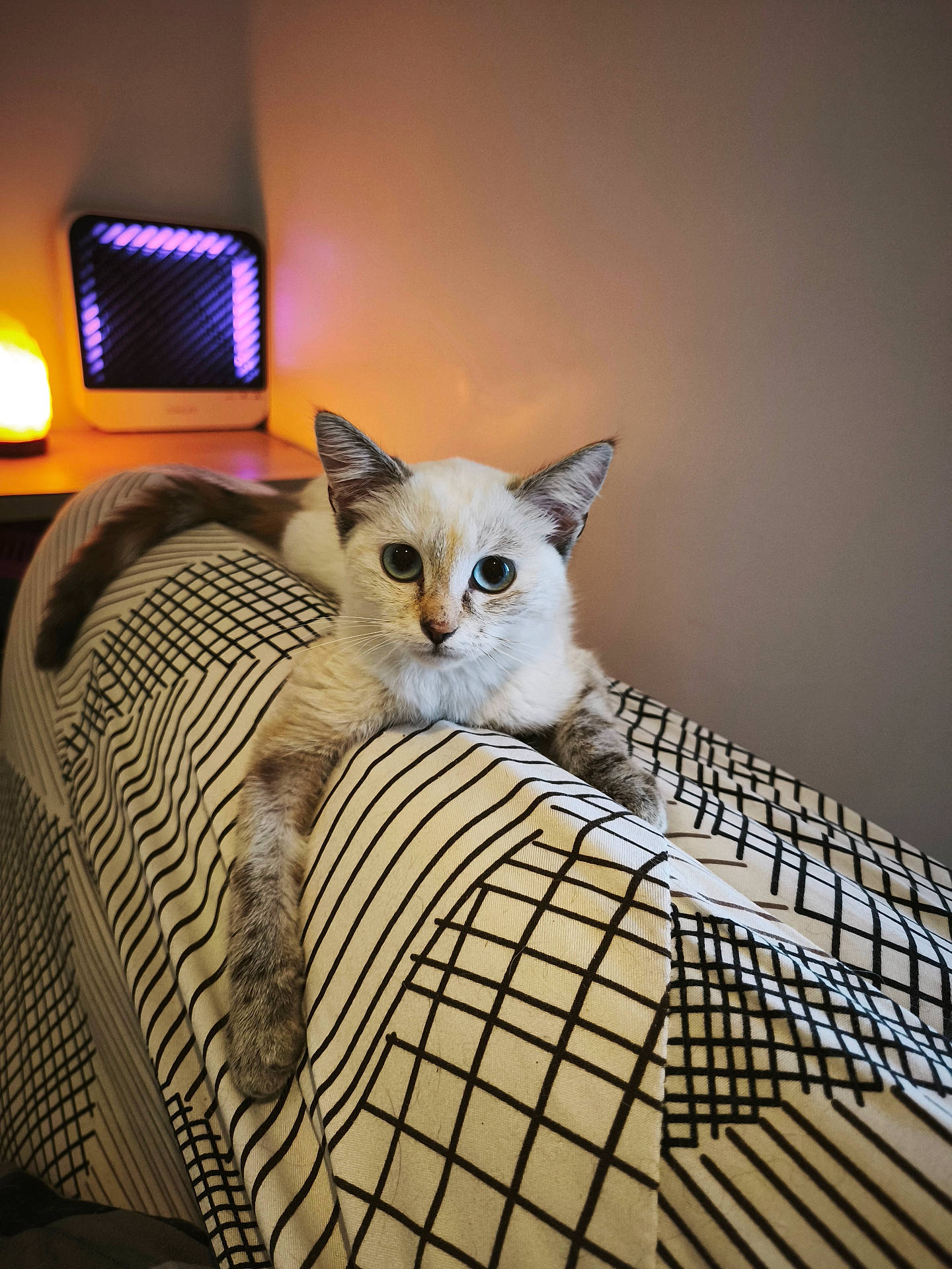 Bella