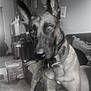 animal, black_and_white, canine, carpet, clock, close_up, collar, cushions, dog, domestic, ears, floor, furniture, home, indoor, living_room, pet, portrait, room, watch