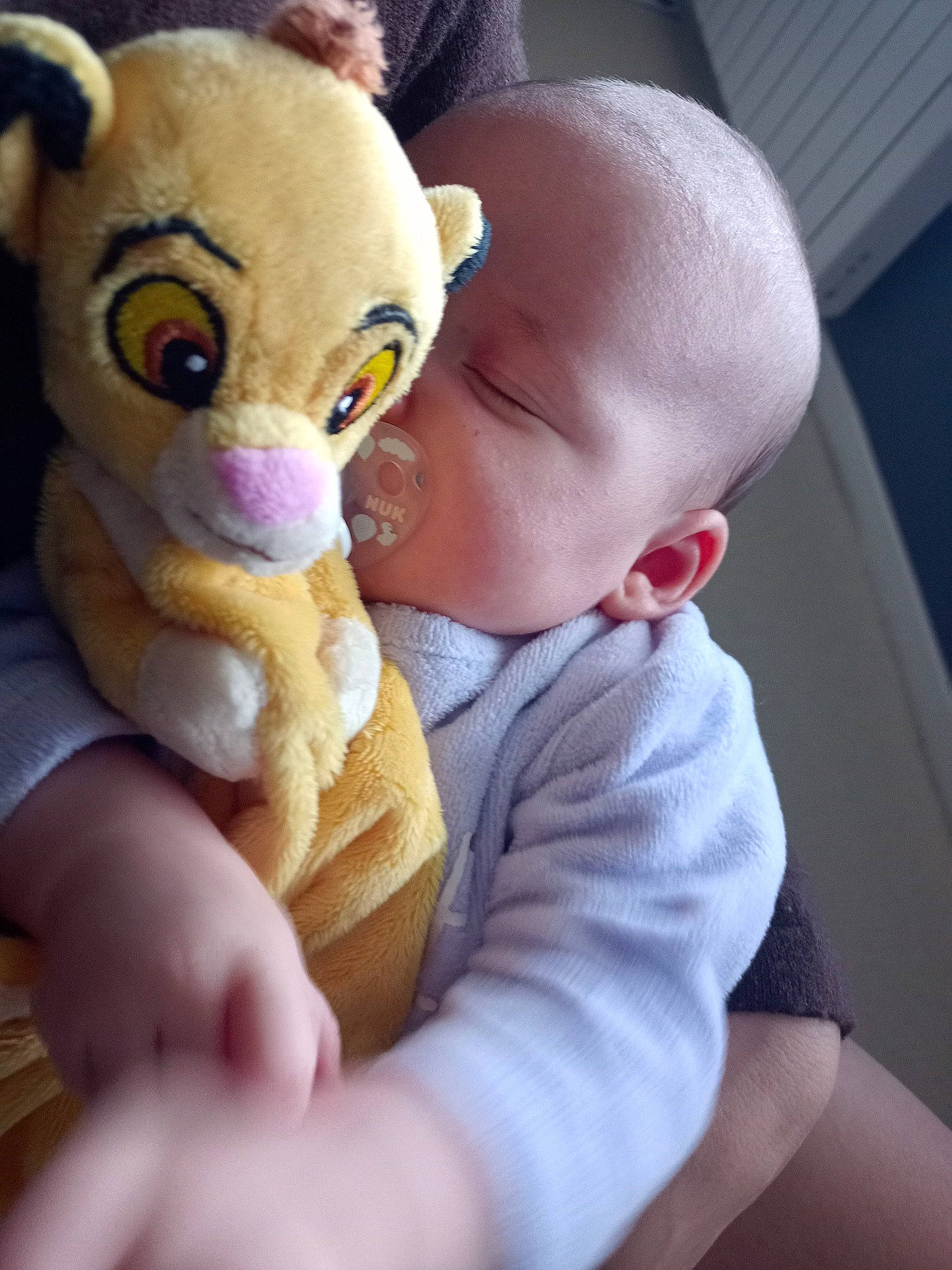 Cussot a rejoint le concours — aidez-le/la à gagner de superbes lots ! arm, baby, baby_toddler_clothing, cheek, comfort, ear, eyebrow, eyelash, fawn, finger, gesture, hand, happy, iris, mouth, nose, person, skin, stuffed_toy, toddler