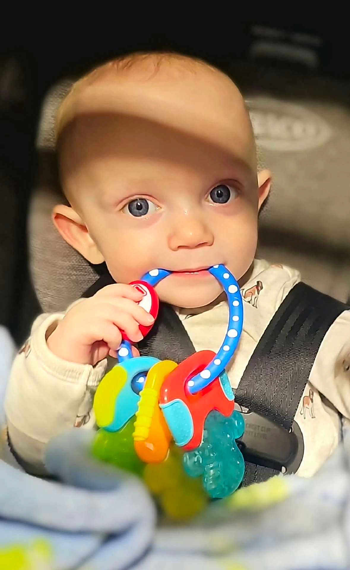 Kyler joined the competition — help win amazing prizes! baby, child, blue_eyes, teething_toy, car_seat, safety_harness, infant, cute, closeup, hand, clothing, indoor, shadow, soft_light, skin, face, expression, toy, seatbelt, young