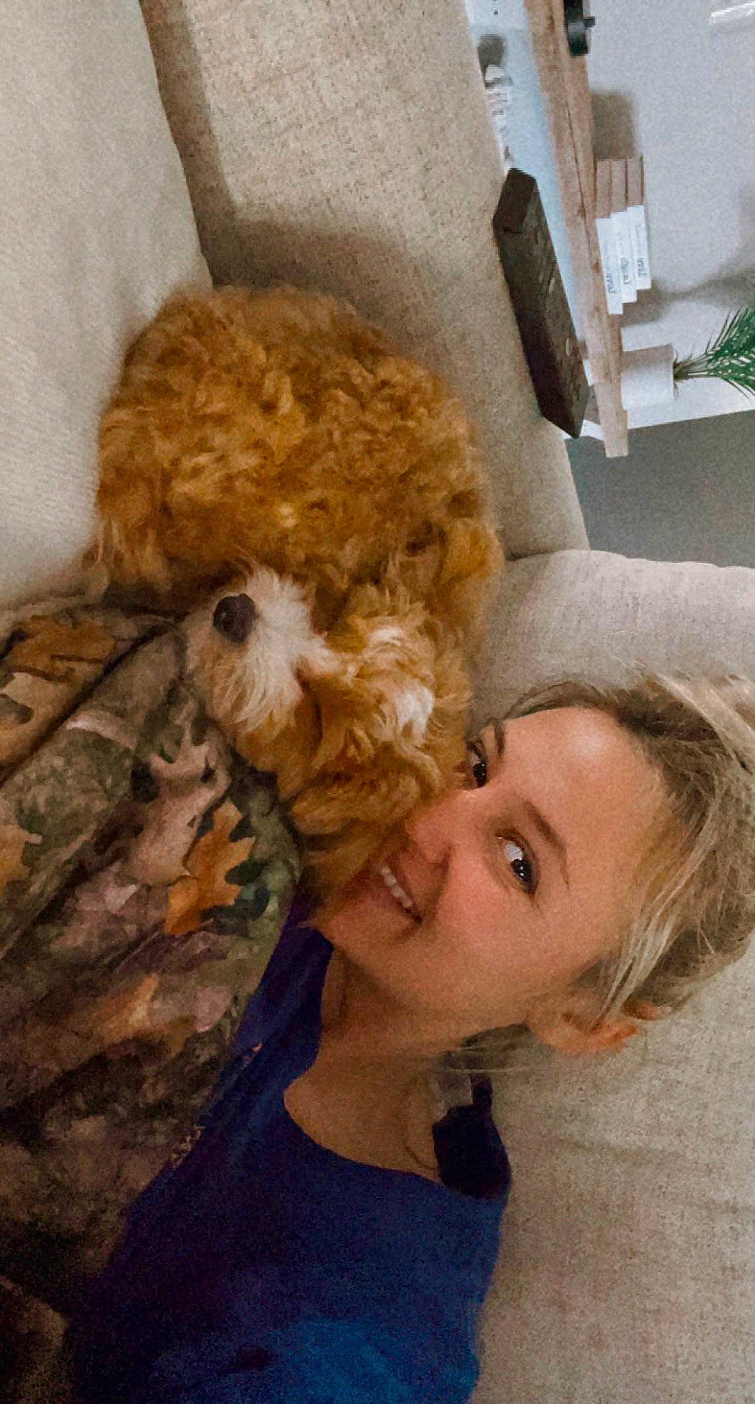 Bandit is registered to the contest to win money with this photo: canidae, carnivore, child, companion_dog, dog, dog_breed, fawn, fun, fur, gesture, happy, long_hair, plant, poodle, poodle_crossbreed, selfie, smile, sporting_group, toy_dog, water_dog