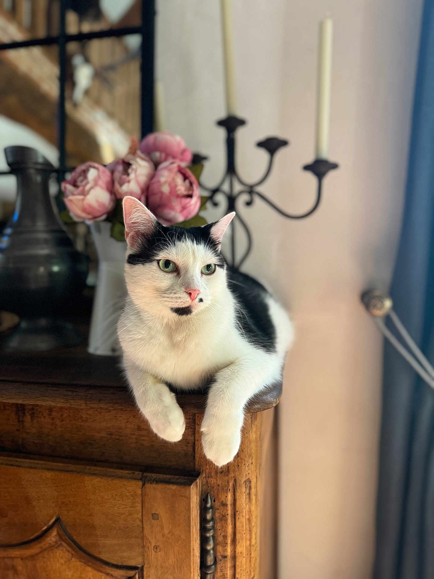 Milo