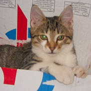 Cely a rejoint le concours — aidez-le/la à gagner de superbes lots !