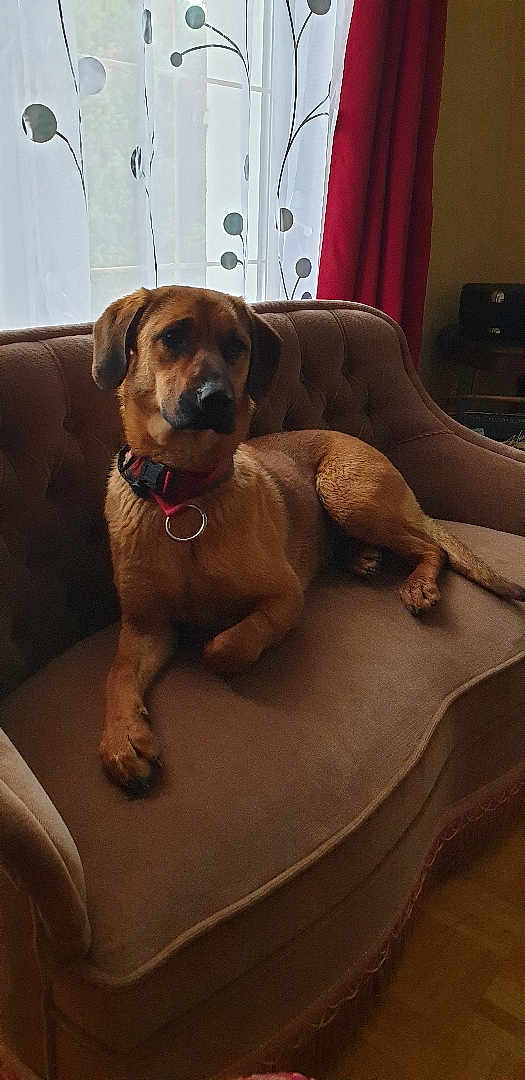 Nina