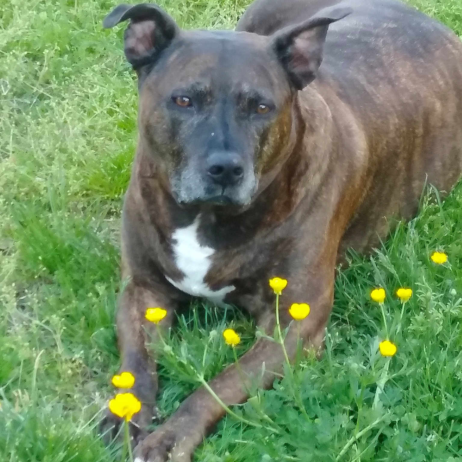 Max