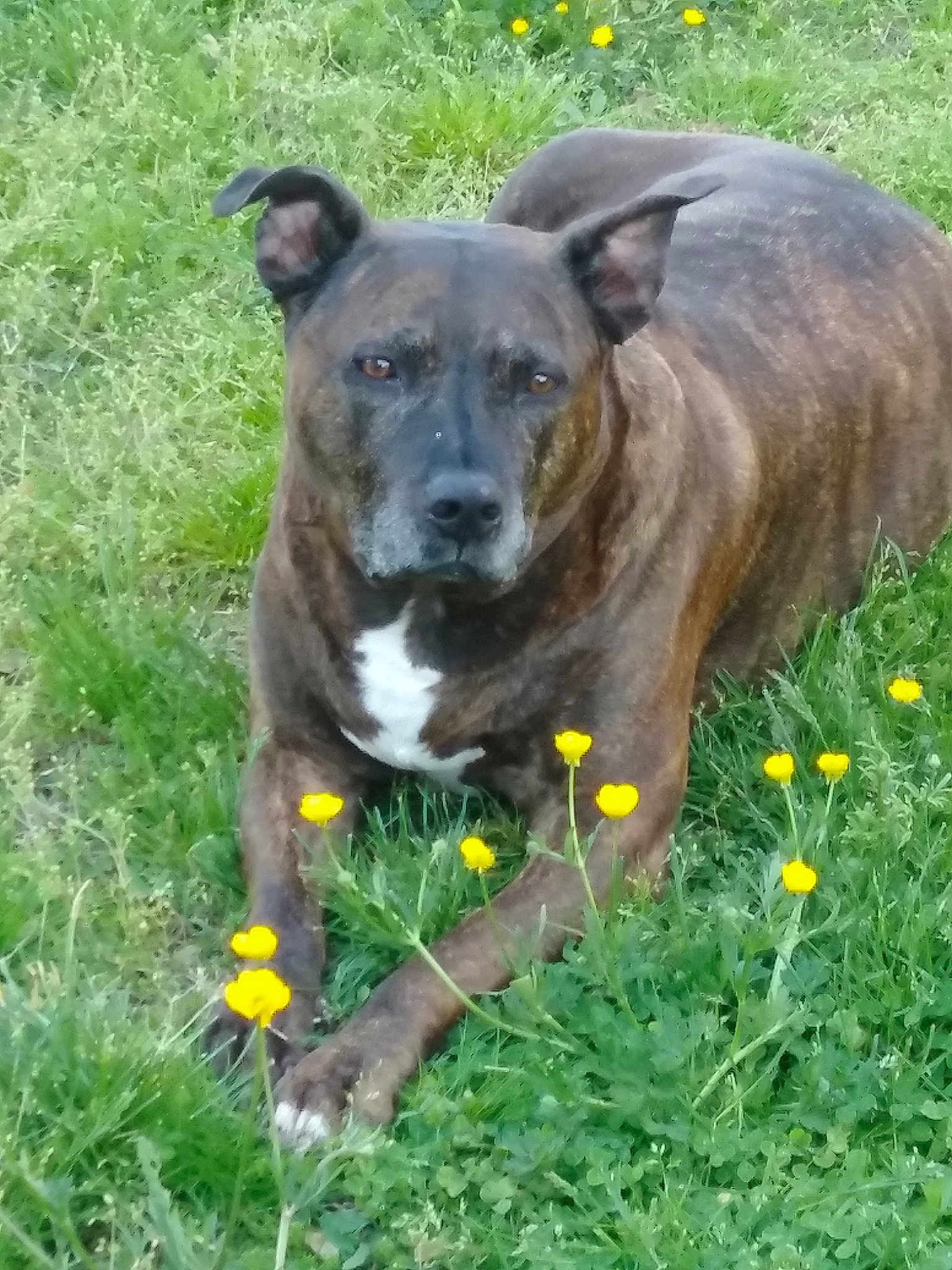 Max