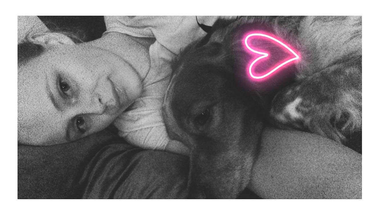 Lasco participe au concours pour gagner de l'argent avec cette photo : canidae, ear, love, photograph, photography, selfie, snapshot