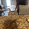 cat, chef_hat, cooking, couch, fireplace, fluffy, funny, furniture, granite_countertop, home, indoor, kitchen, living_room, long_hair, peeking, pet, portrait, whiskers, wooden_utensils, yellow_eyes