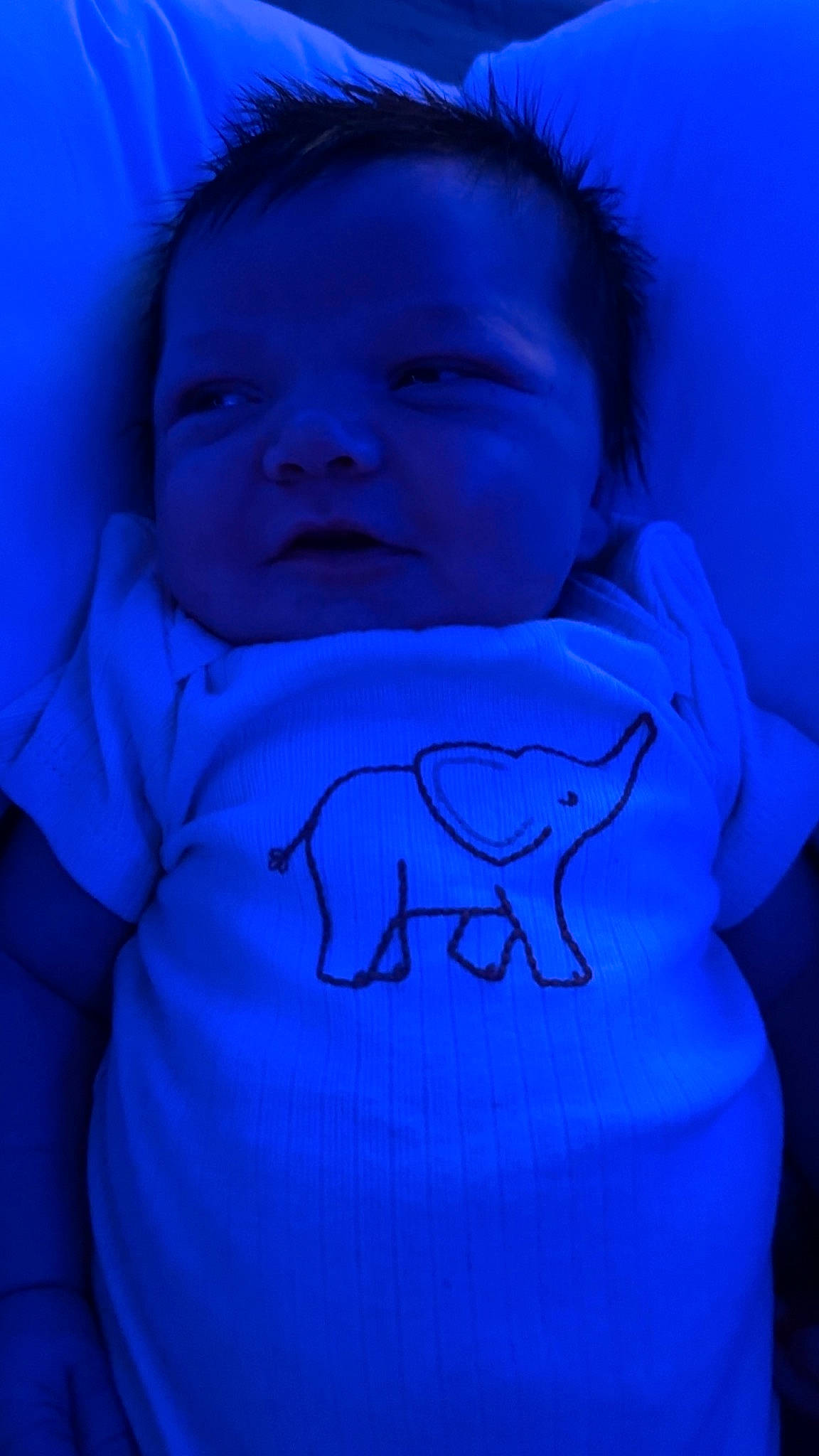 Chase is registered to the contest to win money with this photo: baby, baby_toddler_clothing, blue, cheek, child, comfort, electric_blue, flash_photography, happy, human_body, lip, magenta, mouth, nose, person, pink, purple, sleeve, smile, t_shirt