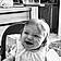 Romy