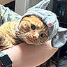 Oliver joined the competition — help win amazing prizes! cat, orange_cat, animal, pet, costume, elephant_hat, cute, indoor, person, arm, watch, tile_floor, furniture, picture_frame, cozy, hand, portrait, whiskers, ears, looking