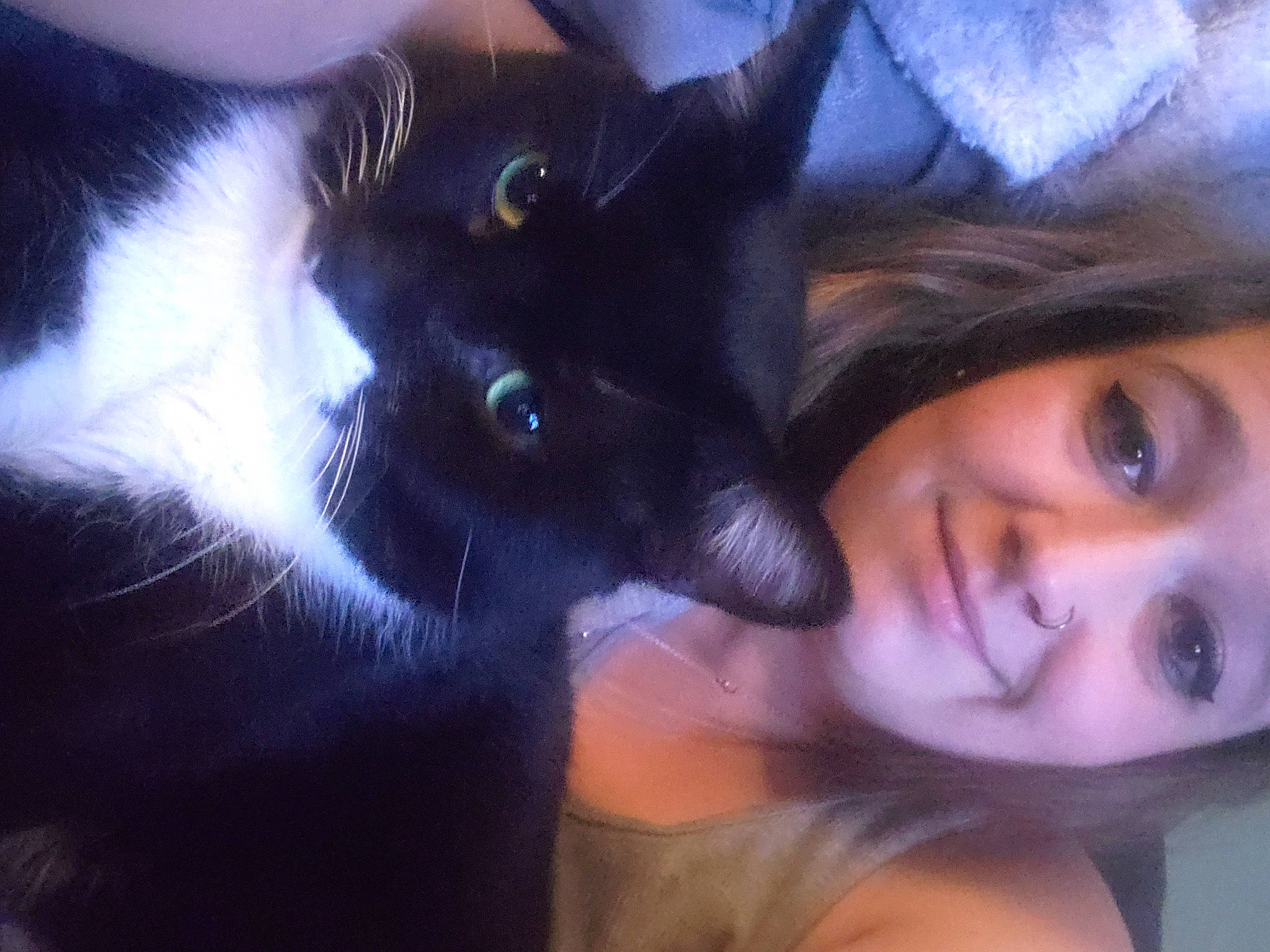 Jeffrey is registered to the contest to win money with this photo: black_hair, carnivore, cat, comfort, ear, electric_blue, eye, eyelash, felidae, flash_photography, fur, gesture, happy, head, jaw, nose, selfie, skin, small_to_medium_sized_cats, whiskers