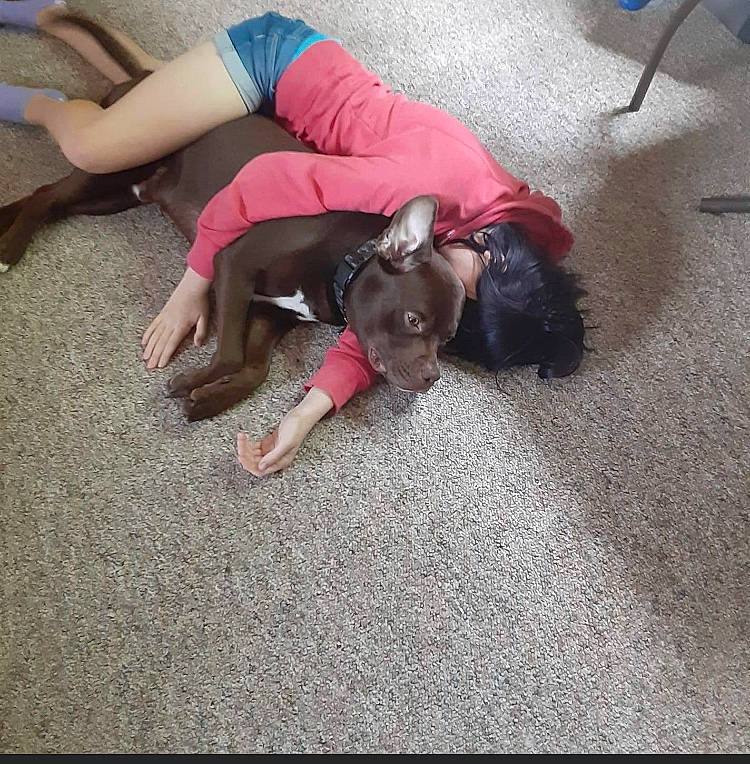 Axel joined the competition — help win amazing prizes! comfort, companion_dog, dog_breed, fawn, flooring, foot, fun, grass, hand, happy, human_body, human_leg, knee, lap, leg, leisure, sidewalk, sitting, sporting_group, thigh