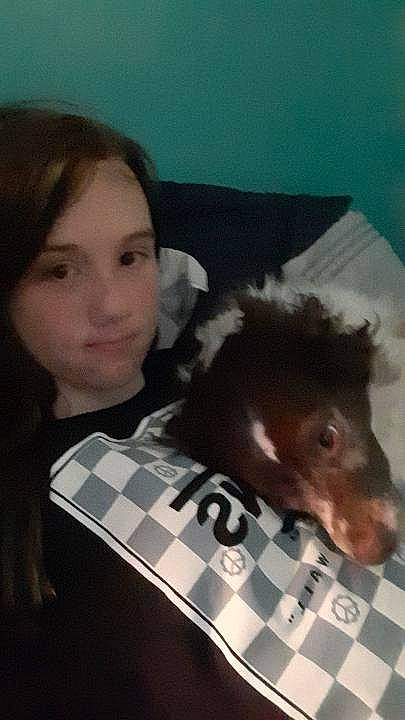 Metro is registered to the contest to win money with this photo: companion_dog, cool, couch, dog_breed, electronic_device, fun, fur, hair, happy, liver, long_hair, neck, photo_caption, room, selfie, square, t_shirt, technology, textile, working_animal