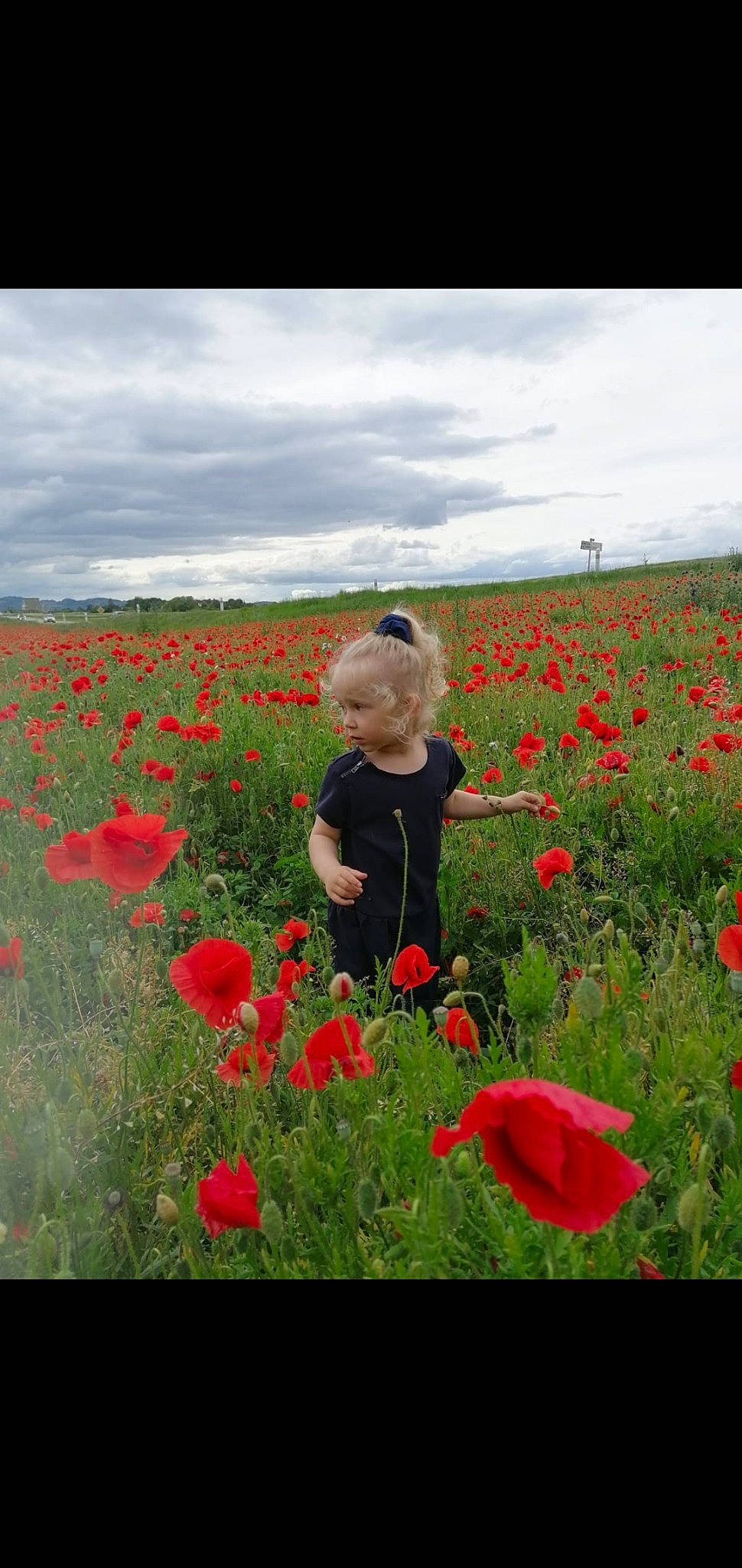 Mayanna a rejoint le concours — aidez-le/la à gagner de superbes lots ! agriculture, annual_plant, cloud, corn_poppy, face, flower, flowering_plant, grass, grassland, happy, landscape, meadow, natural_landscape, people_in_nature, person, petal, plain, plant, prairie, red