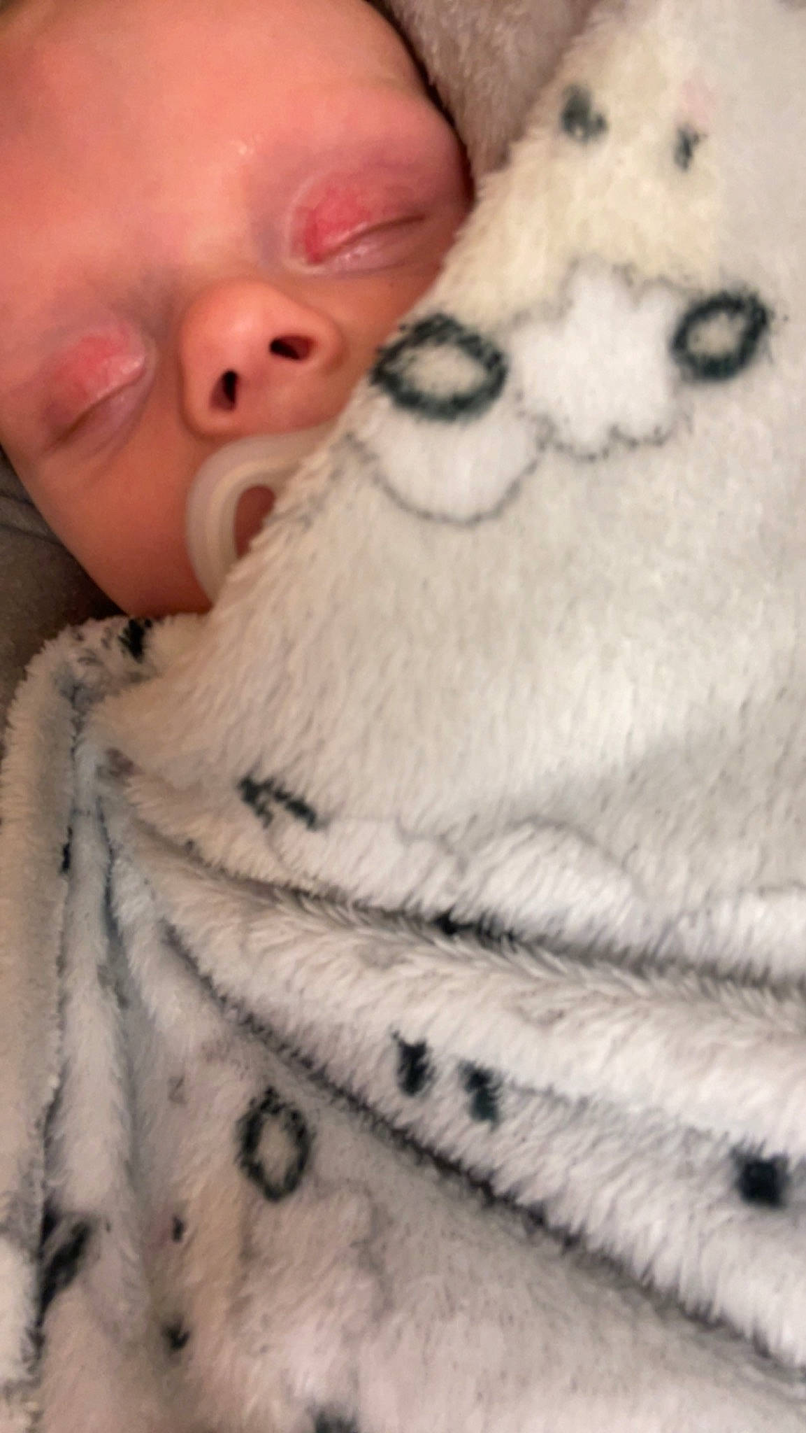 Jackson is registered to the contest to win money with this photo: baby, carmine, child, comfort, felidae, finger, foot, fur, gesture, linens, mammal, nail, nose, person, skin, snout, textile, thumb, whiskers, white