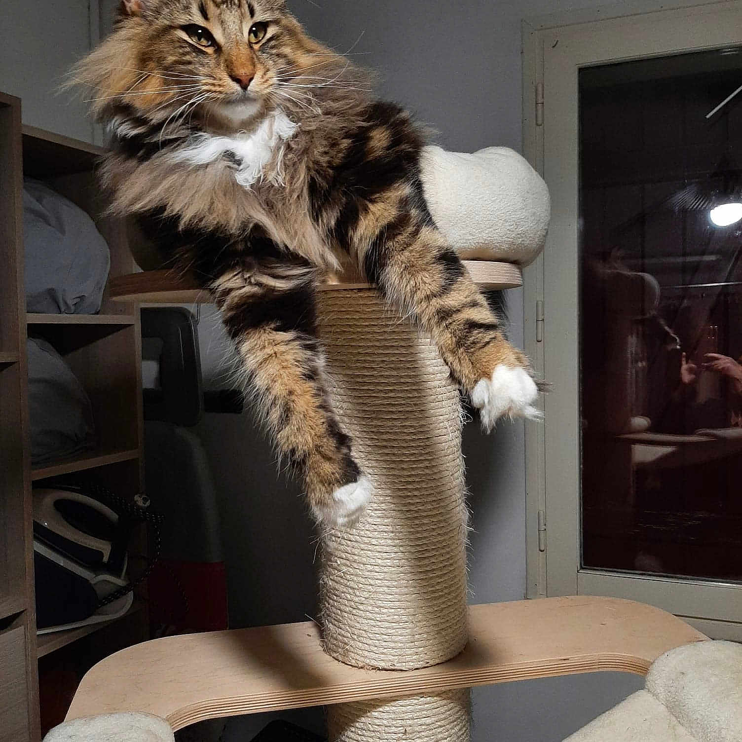 Sirius