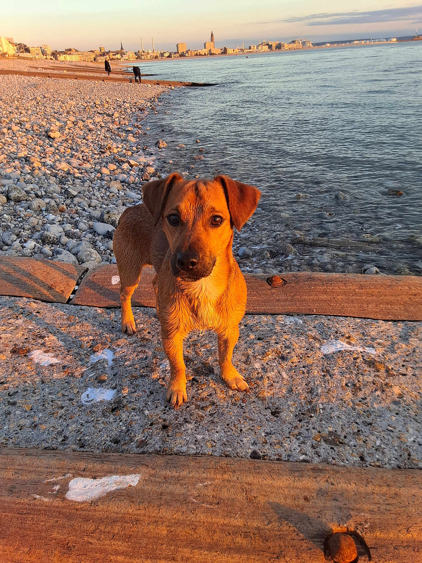 Snoop